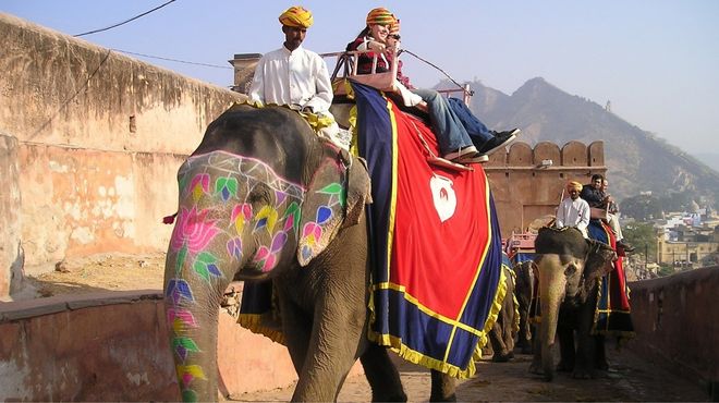 golden triangle & tiger safari delhi agra jaipur & ranthambore 5d 4n