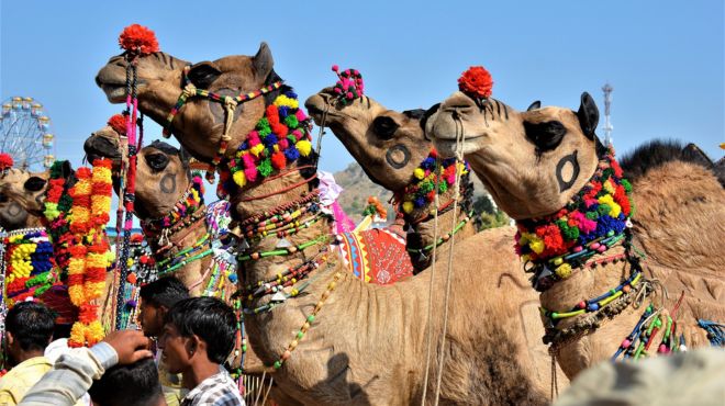 classic rajasthan tour by car 10d 9n