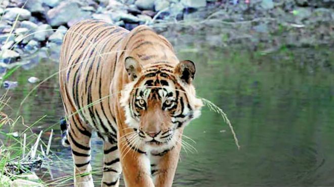 golden triangle trip delhi agra & jaipur 5d 4n