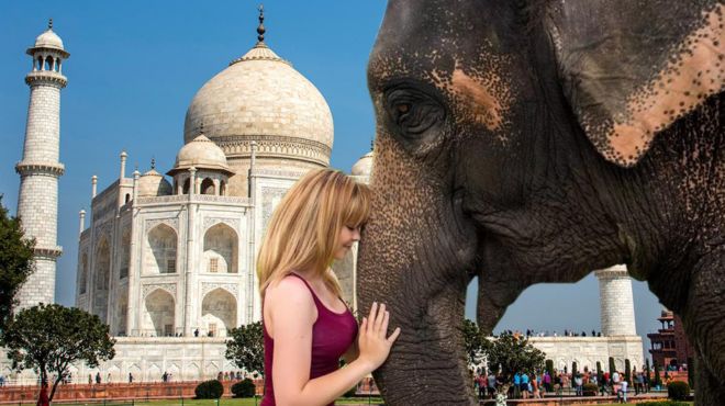 exclusive rajasthan tour by car 8d 7n