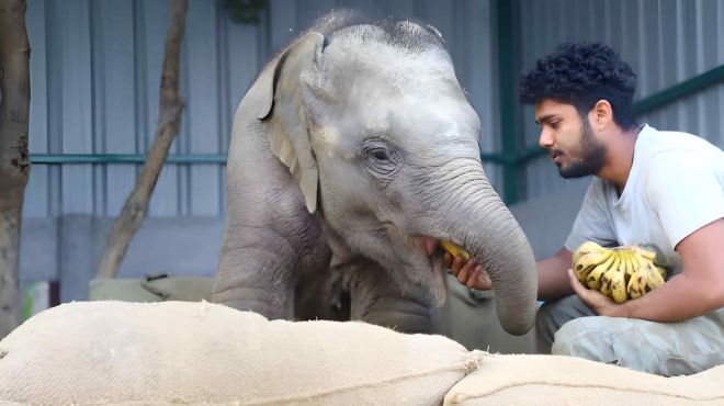 same day taj mahal agra & fatehpur sikri private trip by car